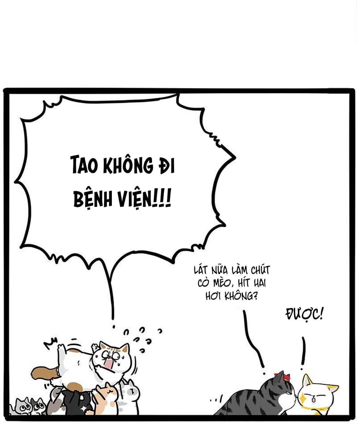 Hoàng Thượng và Ba Trát Hắc Chap 446 - Next Chap 447