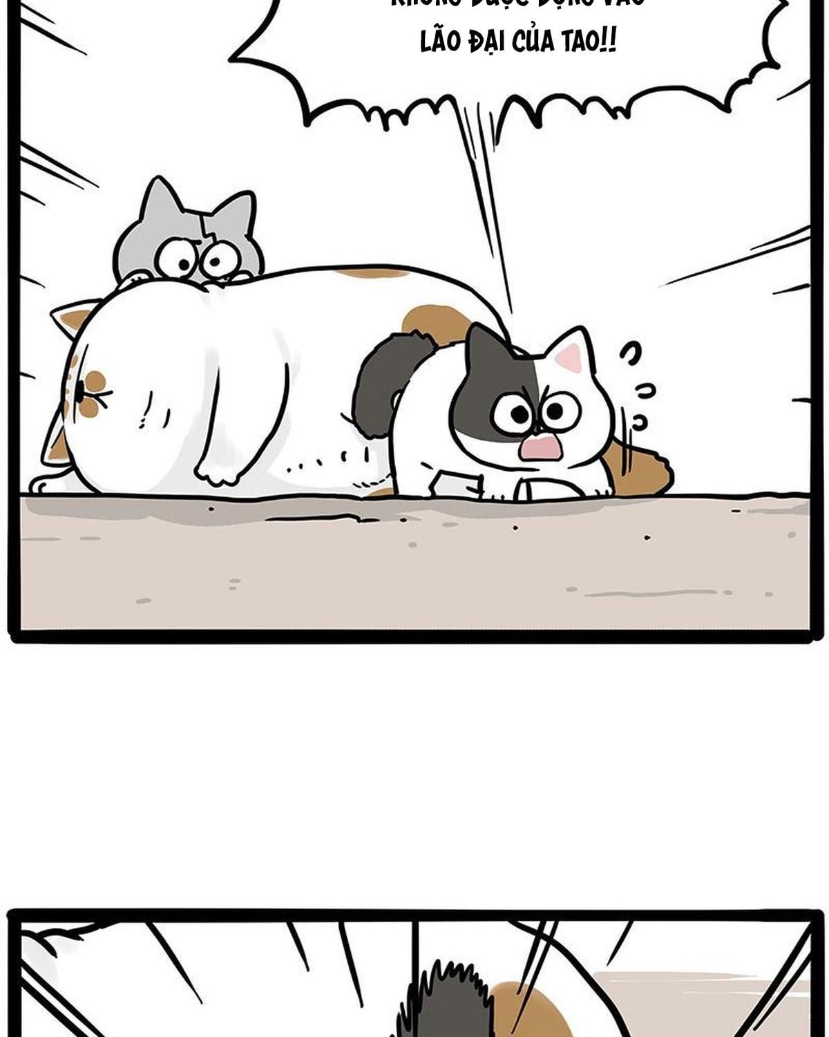 Hoàng Thượng và Ba Trát Hắc Chap 446 - Next Chap 447