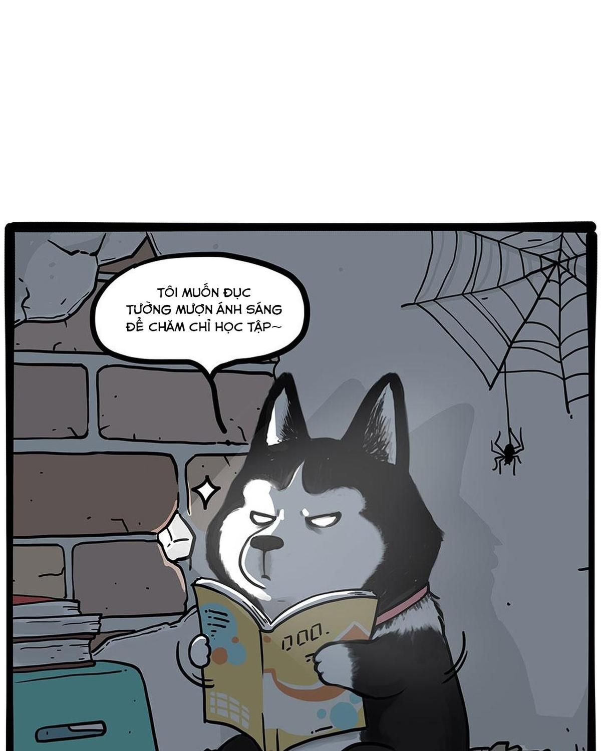 Hoàng Thượng và Ba Trát Hắc Chap 447 - Next Chap 448