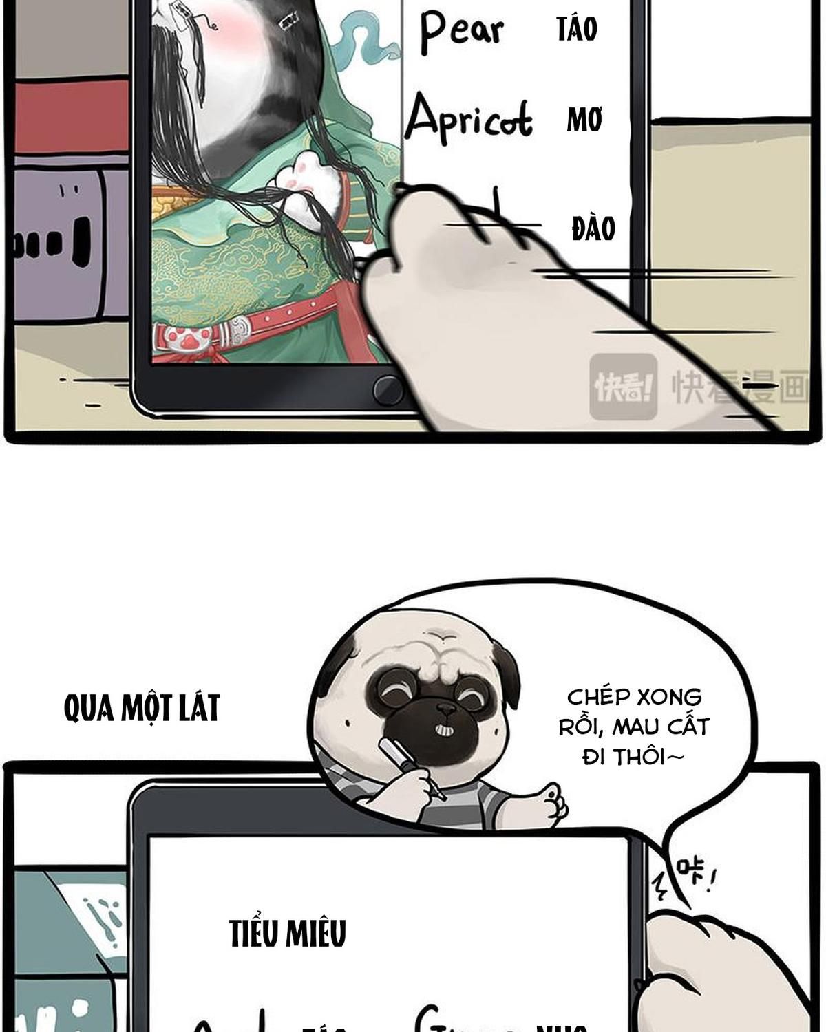 Hoàng Thượng và Ba Trát Hắc Chap 448 - Next Chap 449