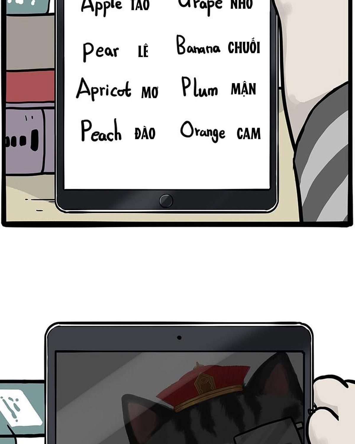 Hoàng Thượng và Ba Trát Hắc Chap 448 - Next Chap 449