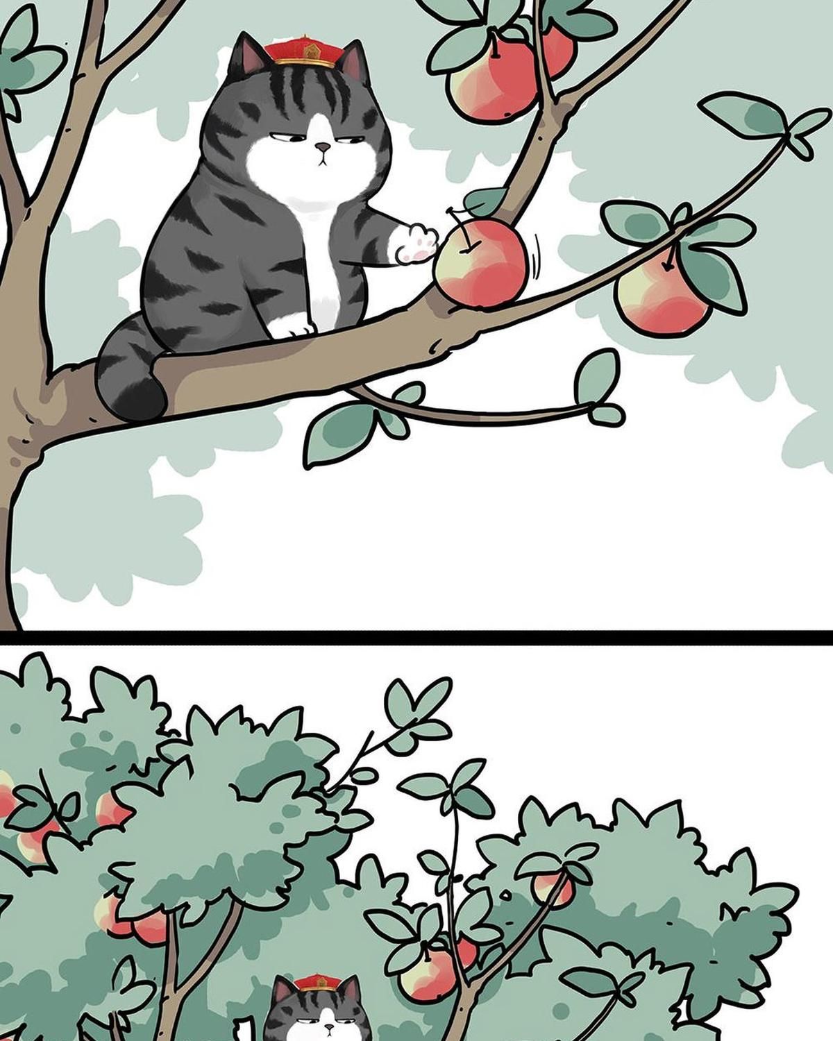 Hoàng Thượng và Ba Trát Hắc Chap 448 - Next Chap 449