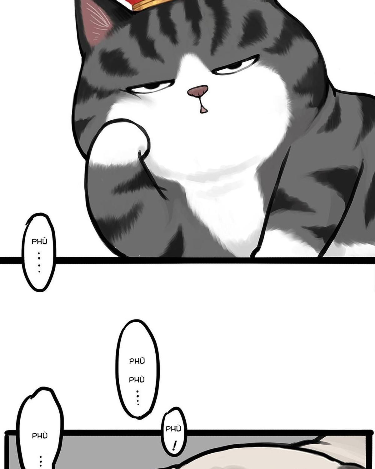 Hoàng Thượng và Ba Trát Hắc Chap 448 - Next Chap 449