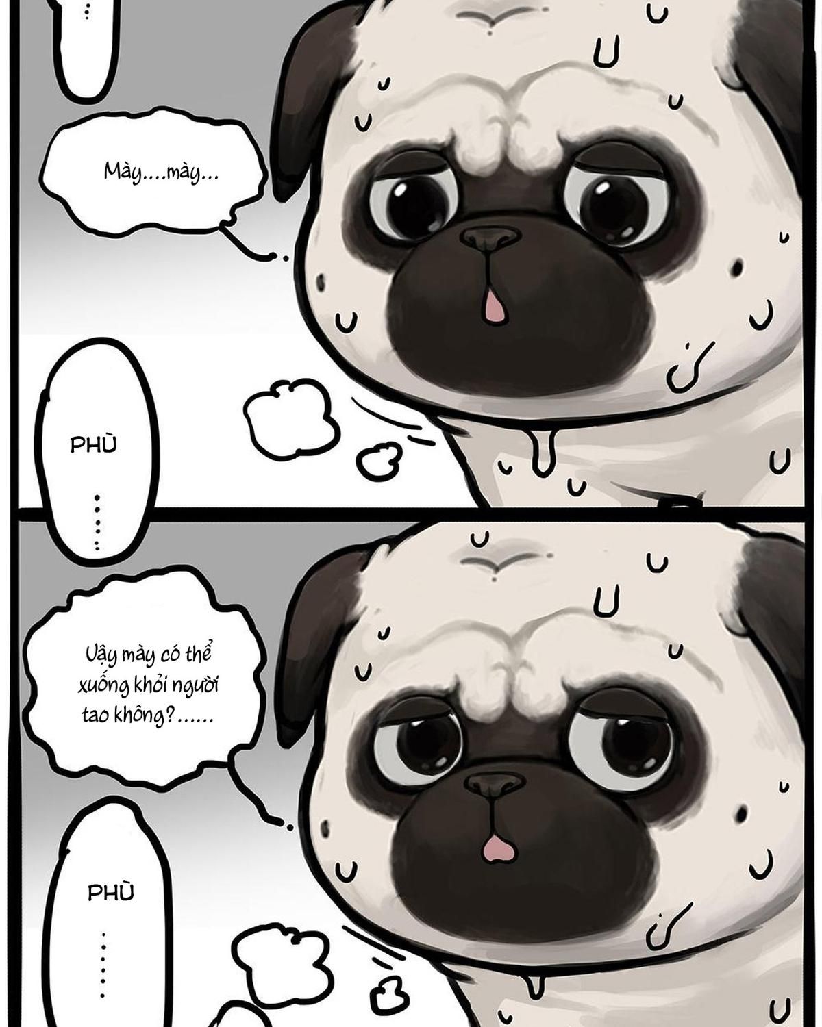 Hoàng Thượng và Ba Trát Hắc Chap 448 - Next Chap 449