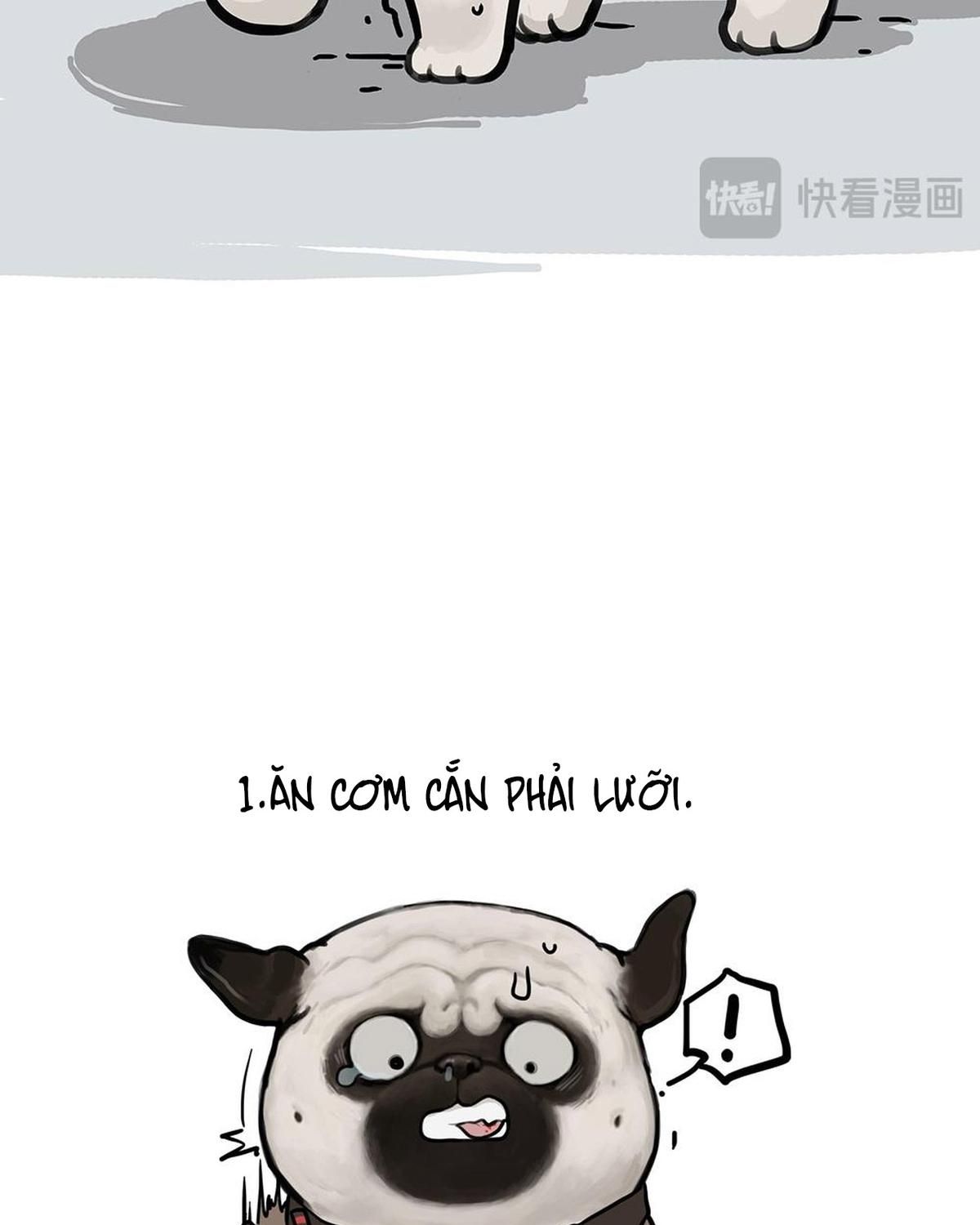 Hoàng Thượng và Ba Trát Hắc Chap 448 - Next Chap 449