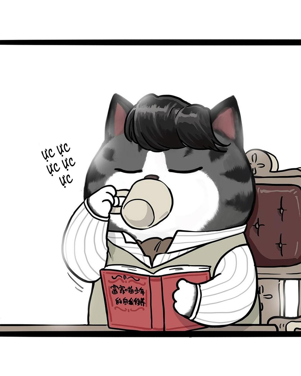 Hoàng Thượng và Ba Trát Hắc Chap 449 - Next Chap 450