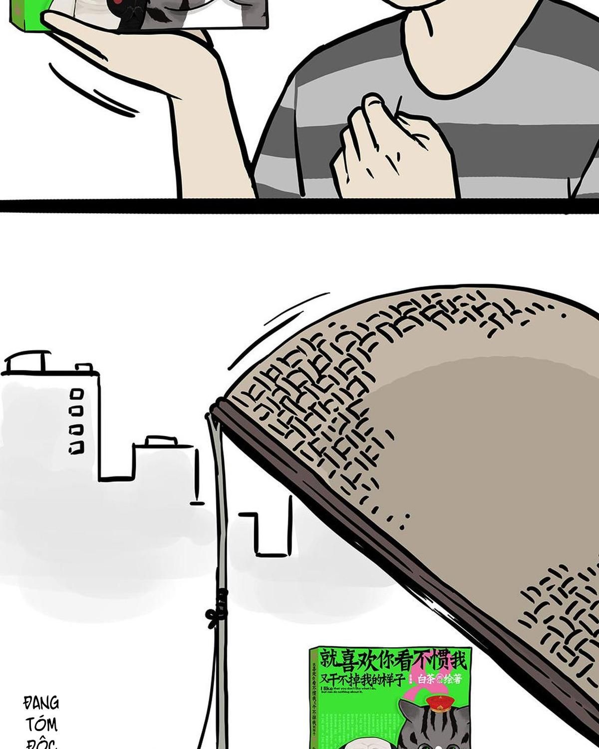 Hoàng Thượng và Ba Trát Hắc Chap 449 - Next Chap 450