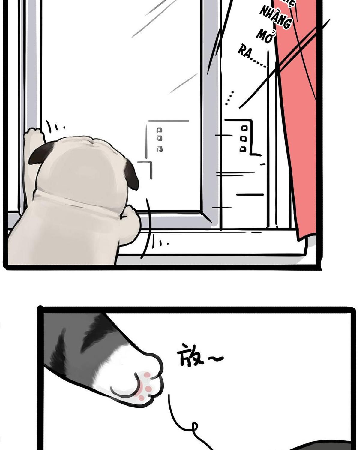 Hoàng Thượng và Ba Trát Hắc Chap 450 - Next Chap 451