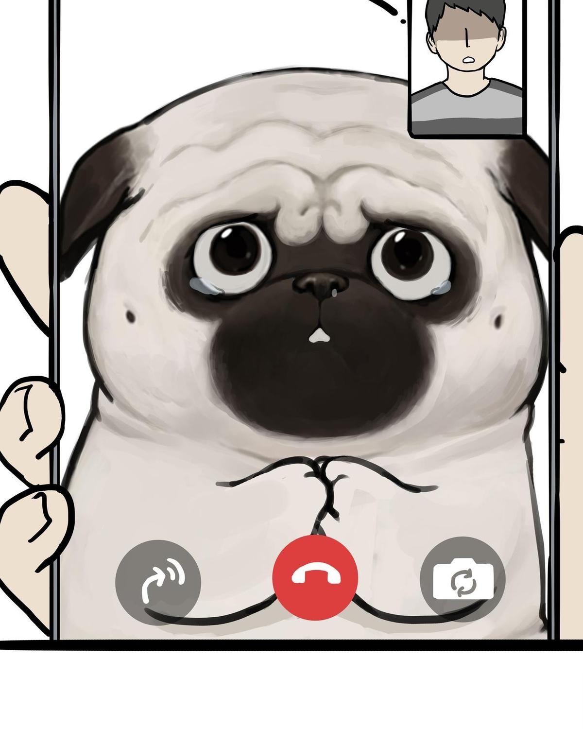 Hoàng Thượng và Ba Trát Hắc Chap 451 - Next Chap 452