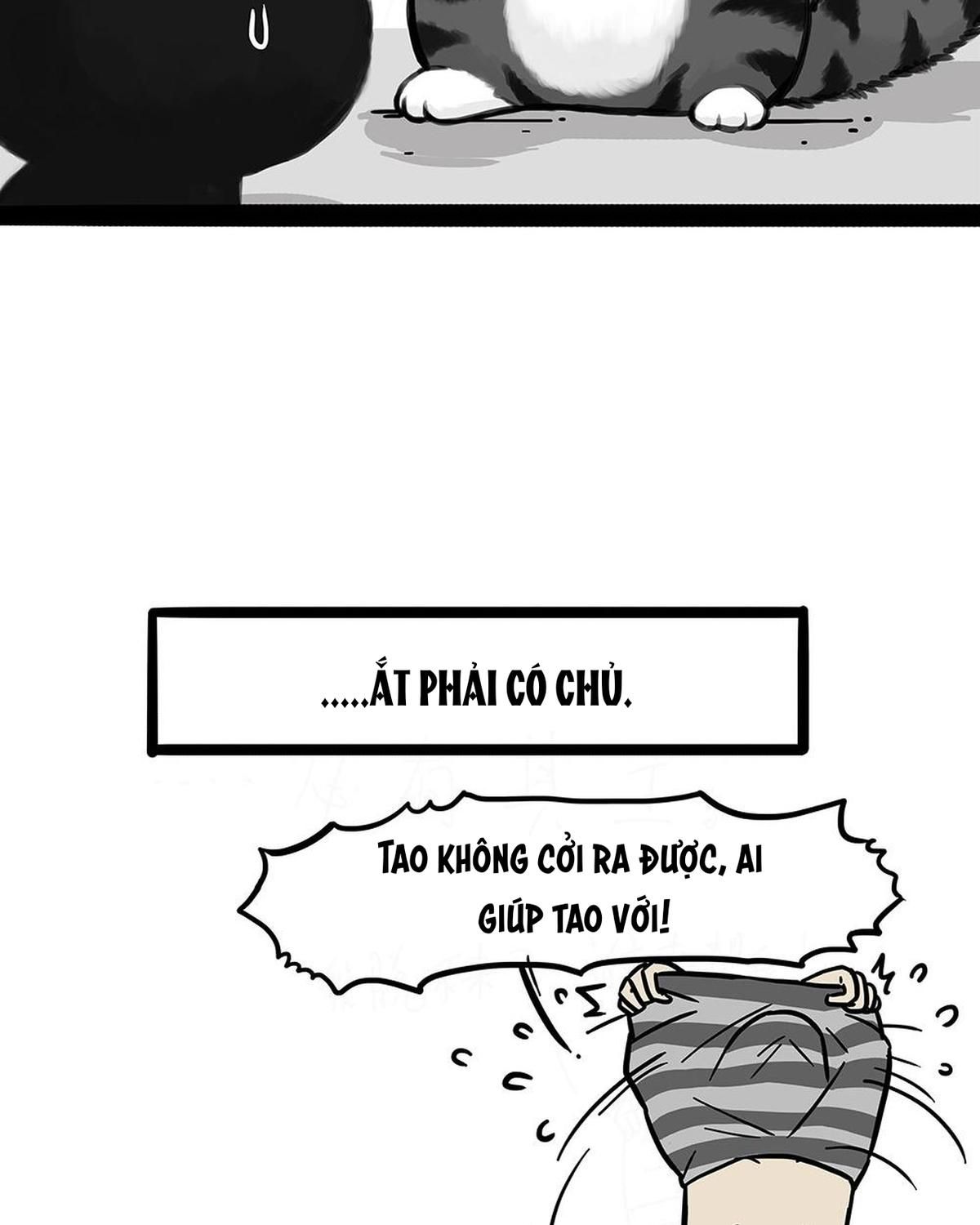 Hoàng Thượng và Ba Trát Hắc Chap 451 - Next Chap 452