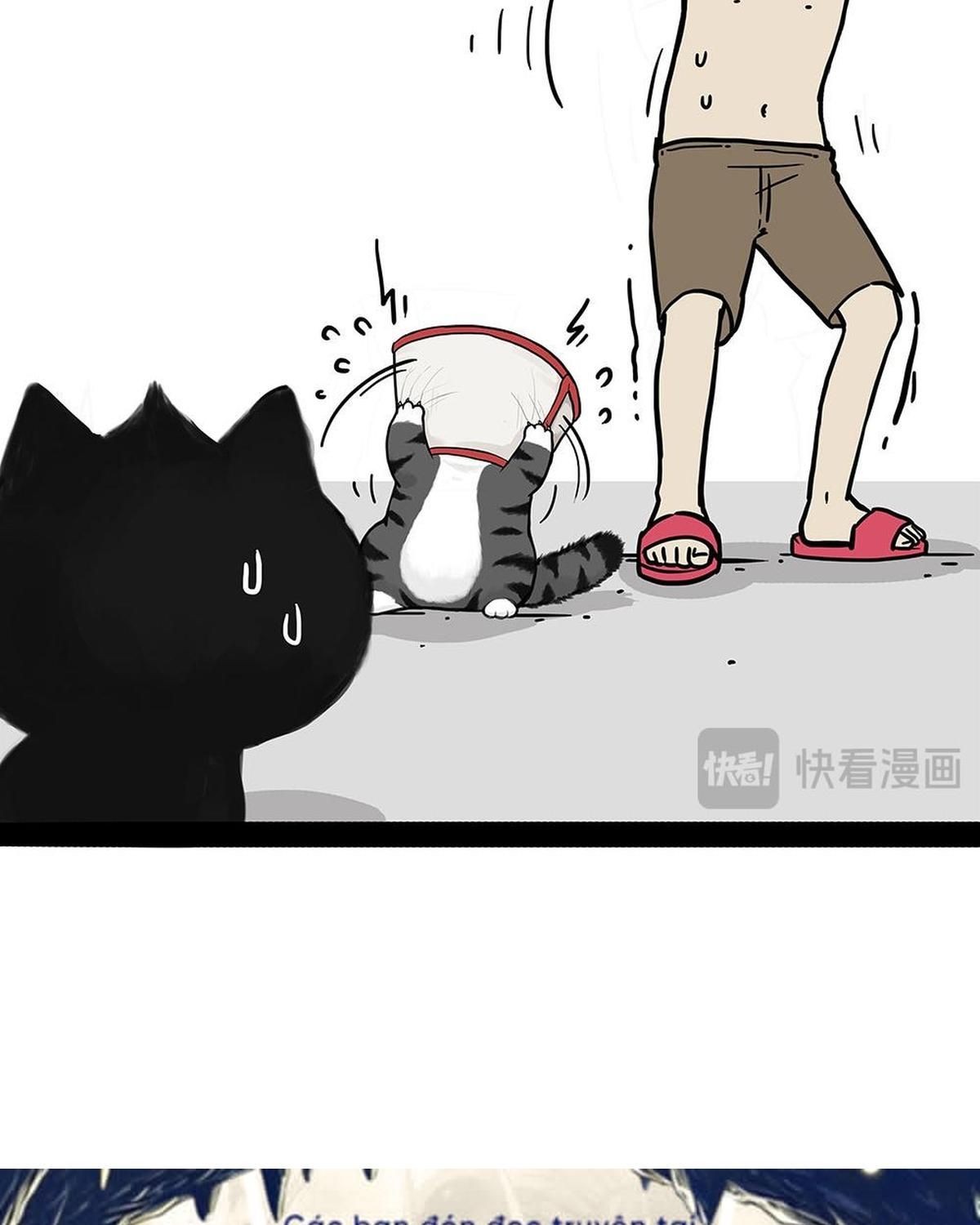 Hoàng Thượng và Ba Trát Hắc Chap 451 - Next Chap 452