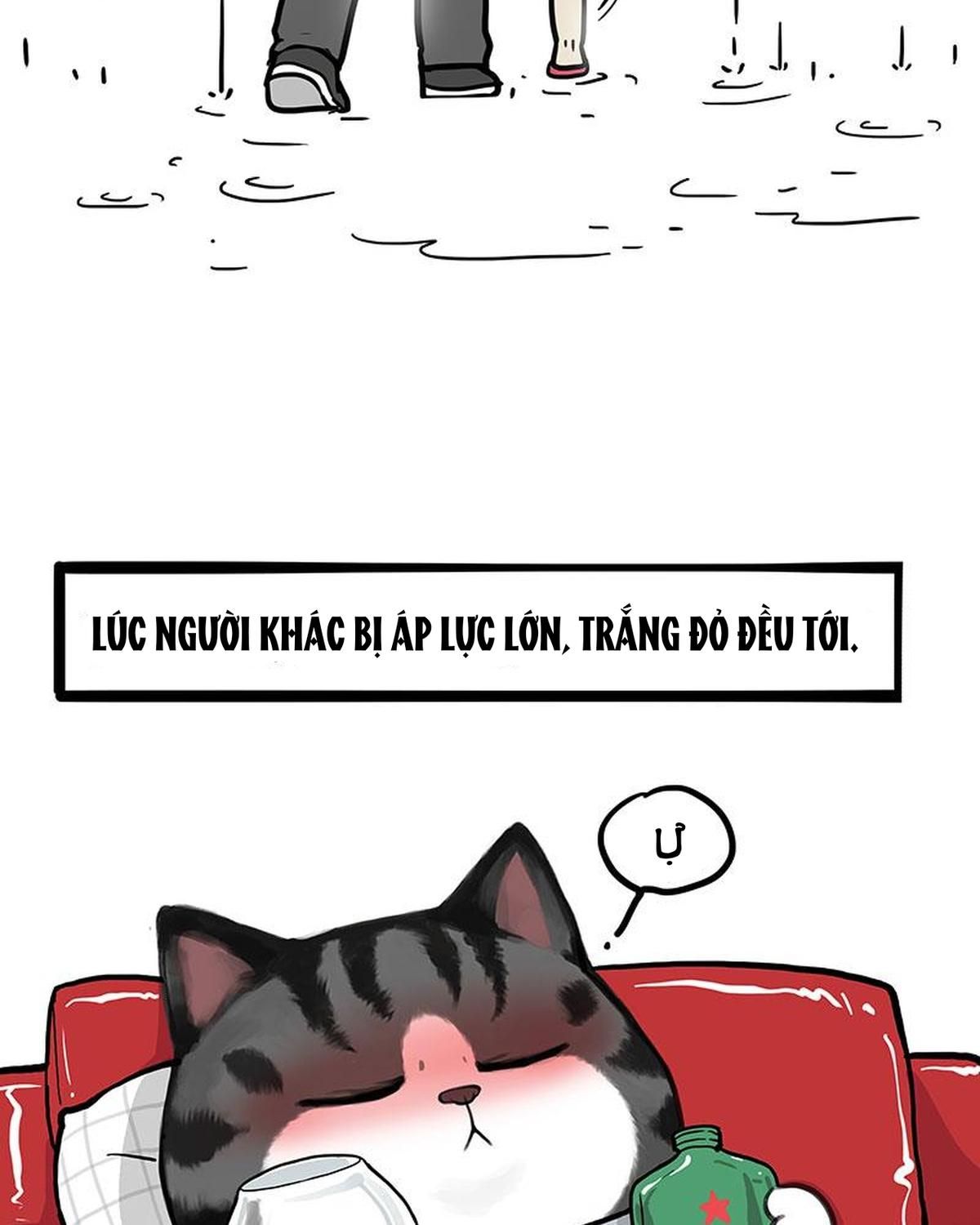 Hoàng Thượng và Ba Trát Hắc Chap 454 - Next Chap 455