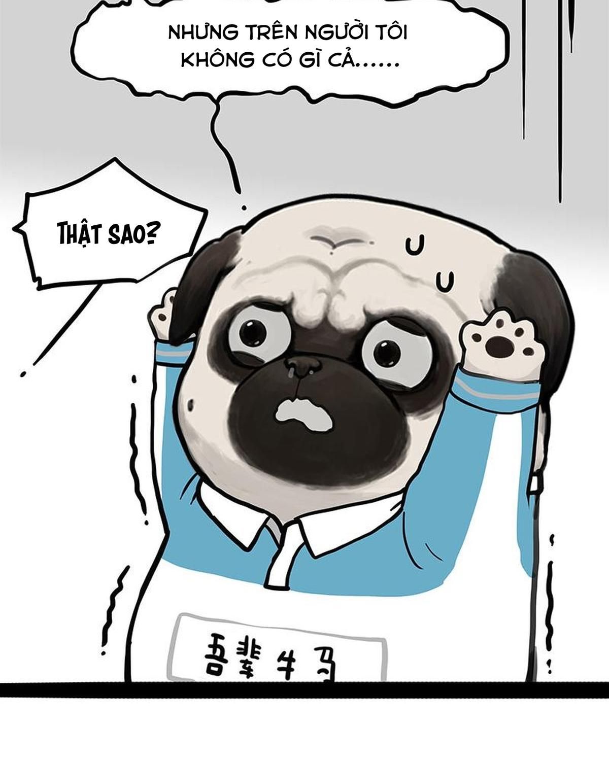 Hoàng Thượng và Ba Trát Hắc Chap 454 - Next Chap 455