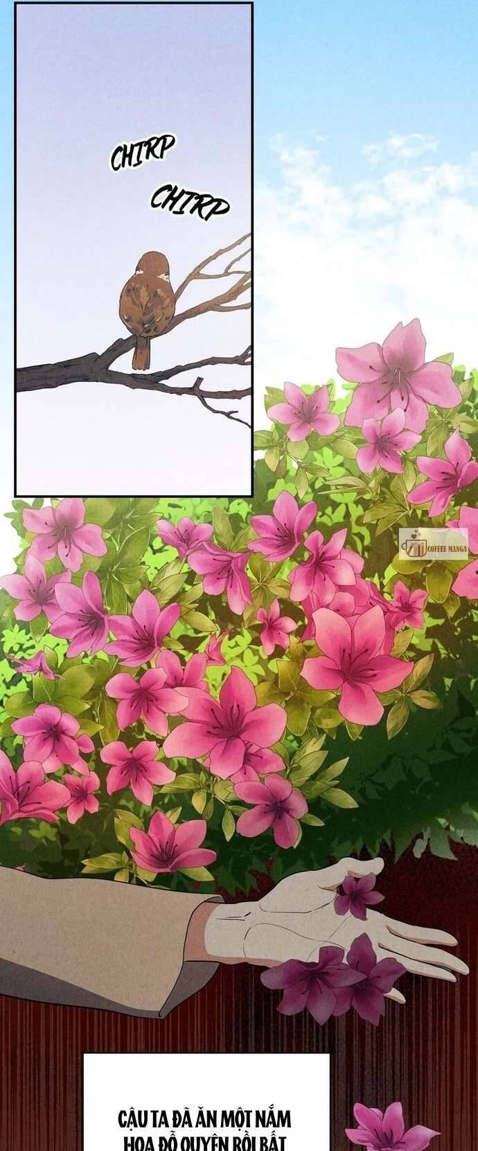 Hong Rang Thân Mếm Chap 18 - Next Chap 19