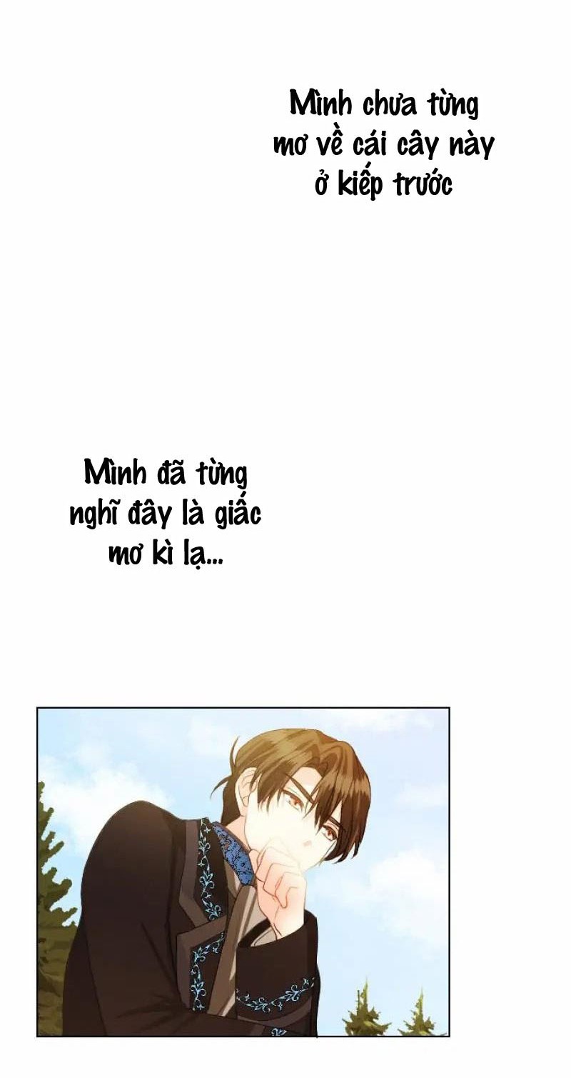 Hợp Đồng Hôn Nhân Với Công Tước Bất Lực Chap 12 - Next Chap 13