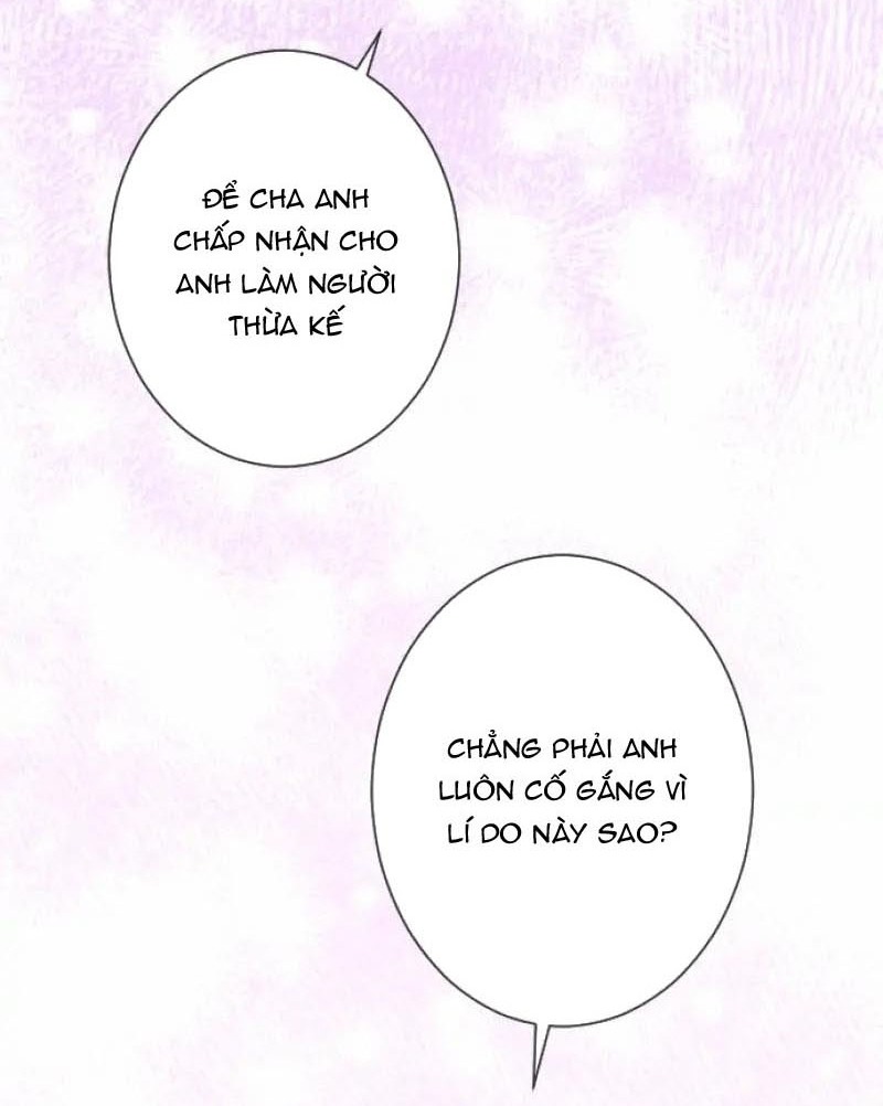 Hợp Đồng Hôn Nhân Với Công Tước Bất Lực Chap 14 - Next Chap 15