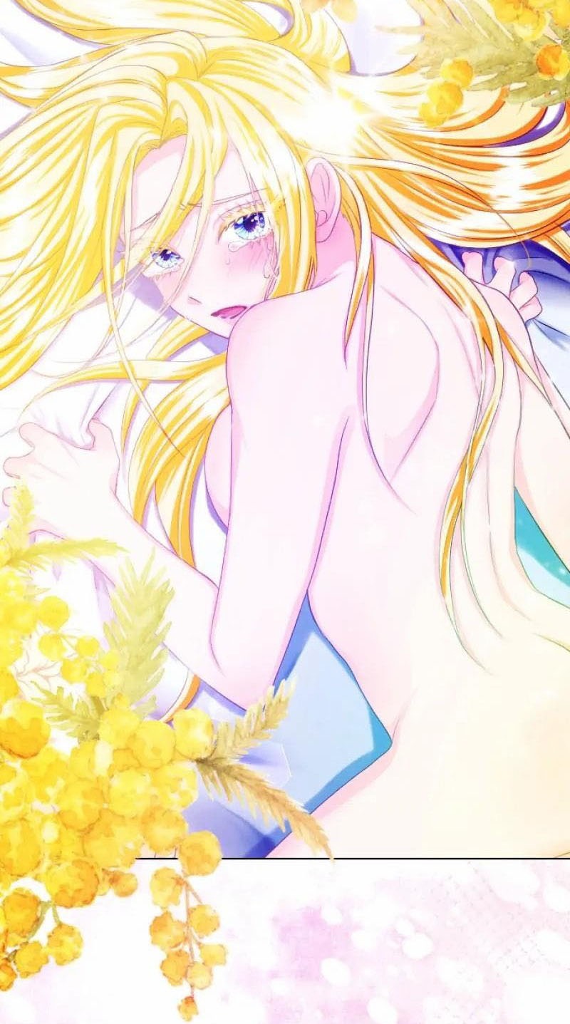 Hợp Đồng Hôn Nhân Với Công Tước Bất Lực Chap 15 - Next Chap 16