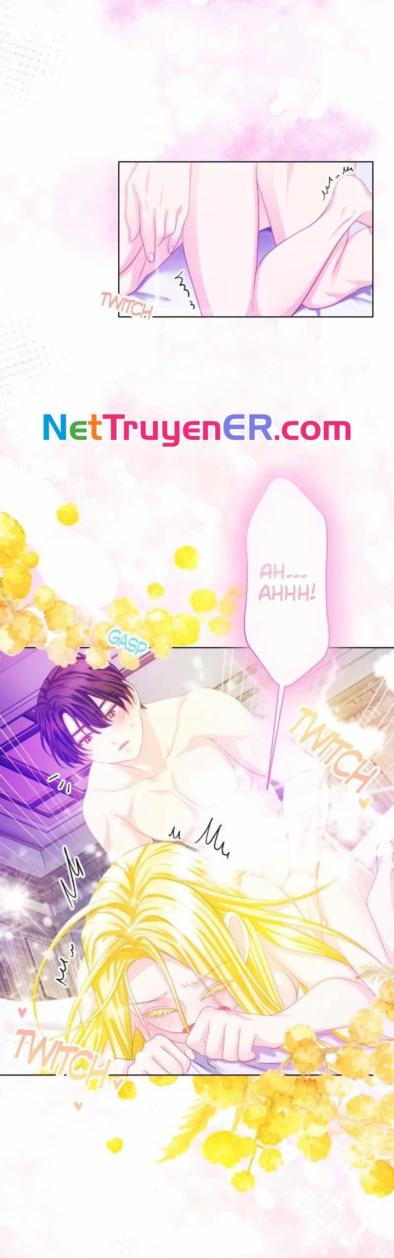 Hợp Đồng Hôn Nhân Với Công Tước Bất Lực Chap 15 - Next Chap 16