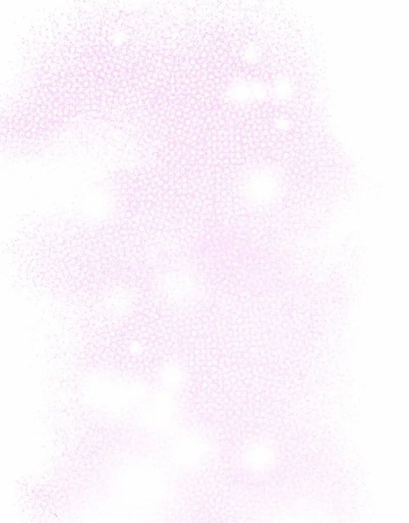 Hợp Đồng Hôn Nhân Với Công Tước Bất Lực Chap 19 - Next Chap 20