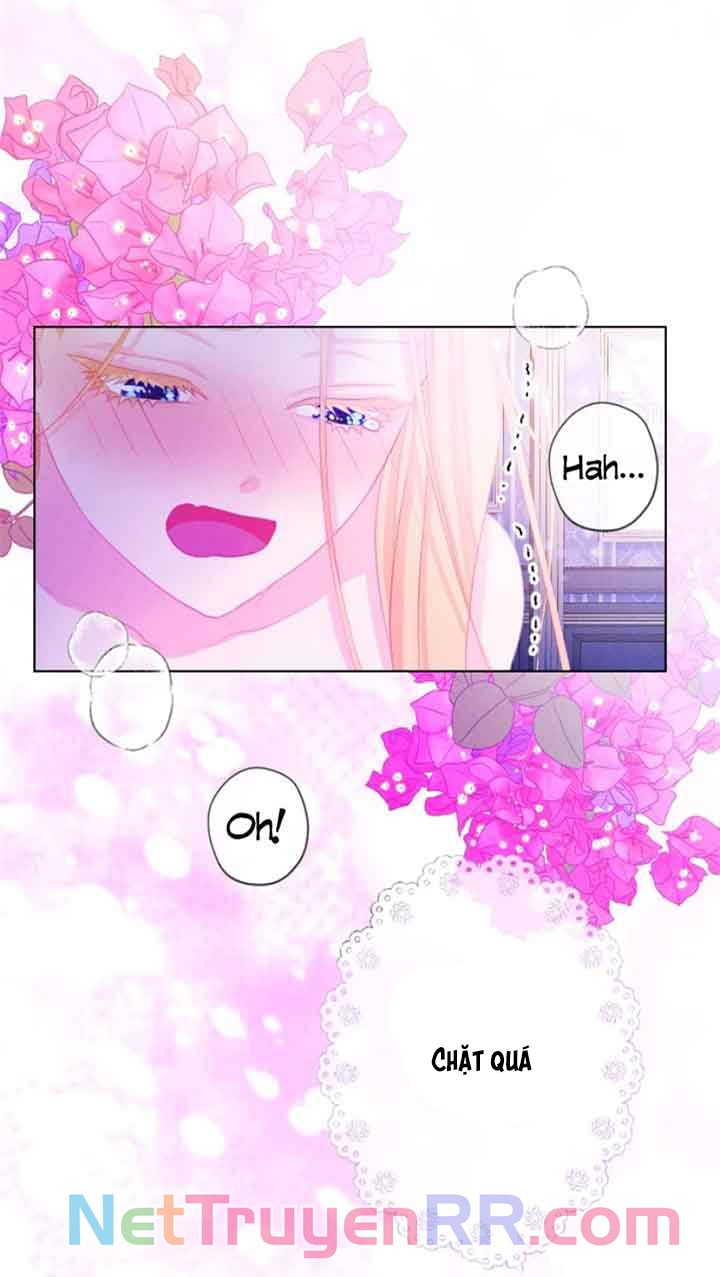 Hợp Đồng Hôn Nhân Với Công Tước Bất Lực Chap 24 - Next Chap 25