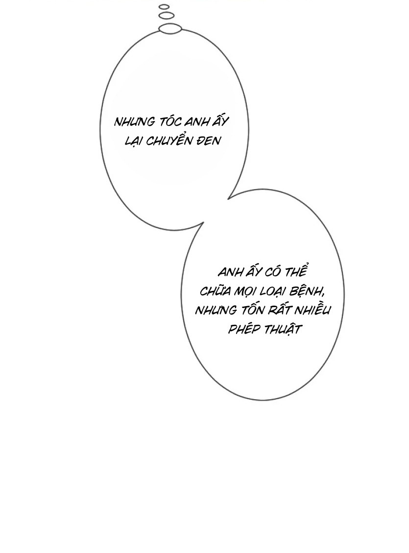 Hợp Đồng Hôn Nhân Với Công Tước Bất Lực Chap 25 - Next Chap 26