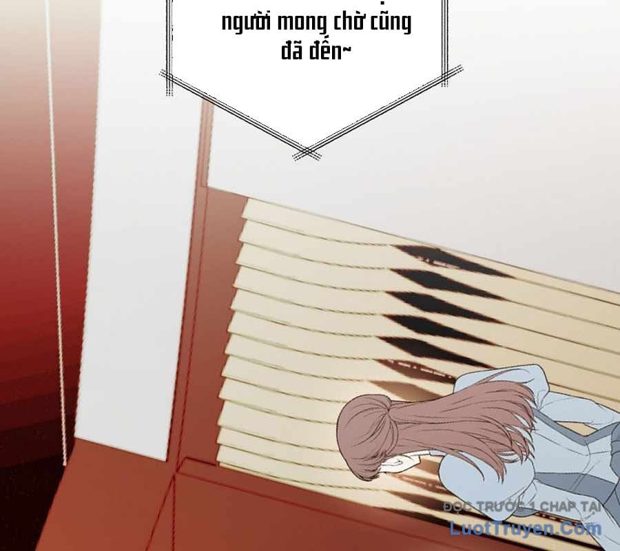 Kẻ Thống Trị Kịch Bản Chap 42 - Next Chap 43