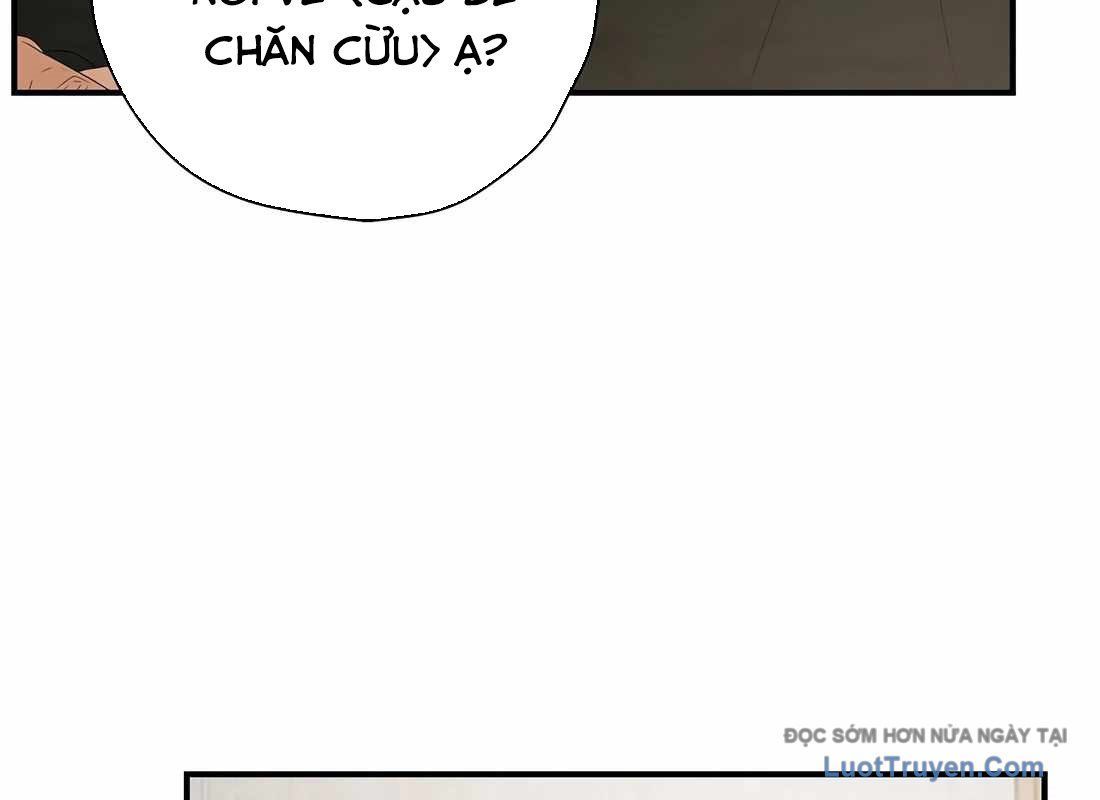 Kẻ Thống Trị Kịch Bản Chap 46 - Next Chap 47