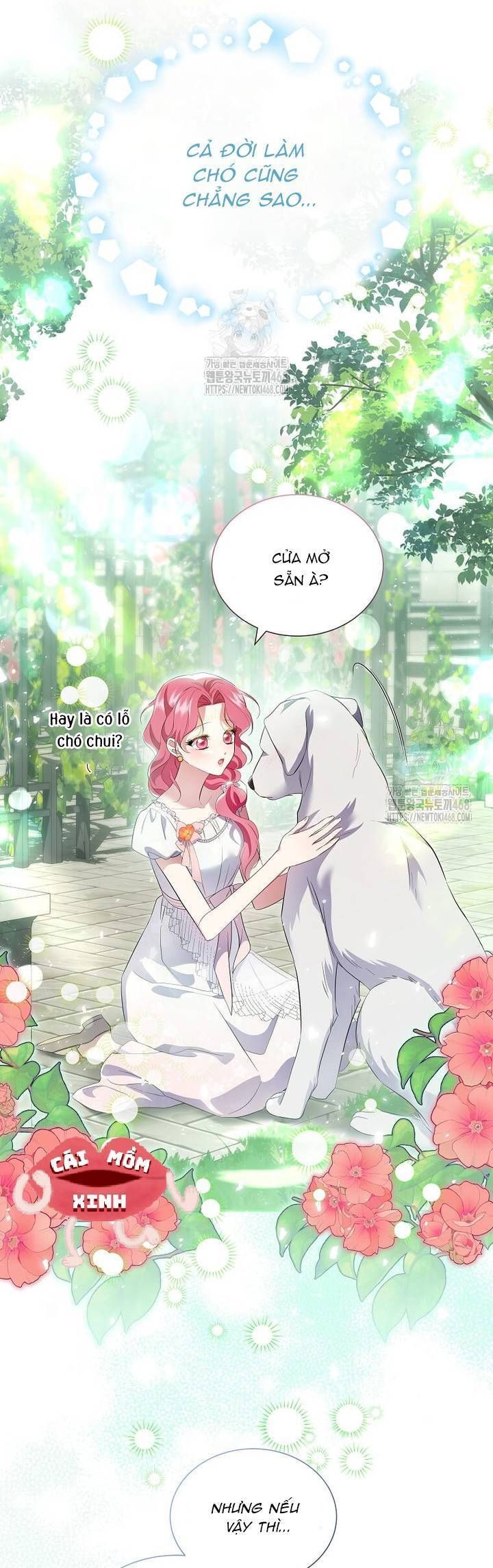 Khi Bị Nam Chính Dịu Dàng Nhưng Cố Chấp Ám Ảnh Chap 14 - Next Chap 15