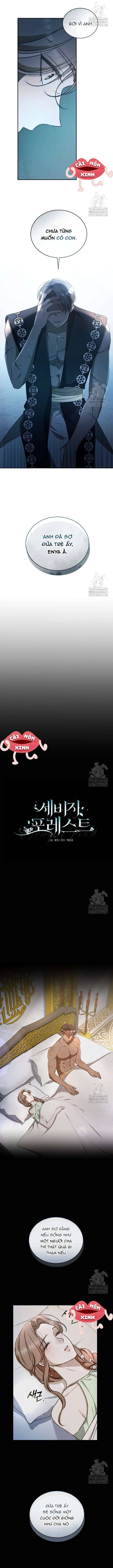 Khu Rừng Hoang Dã Chap 46 - Next Chap 47