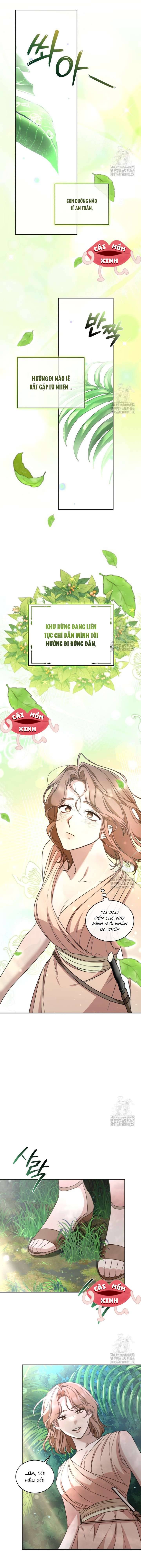 Khu Rừng Hoang Dã Chap 47 - Next Chap 48