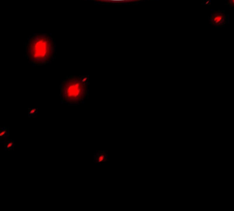 Kim Chiến Sĩ: Hành Trình Xây Dựng Đặc Tính Chap 60 - Next Chap 61