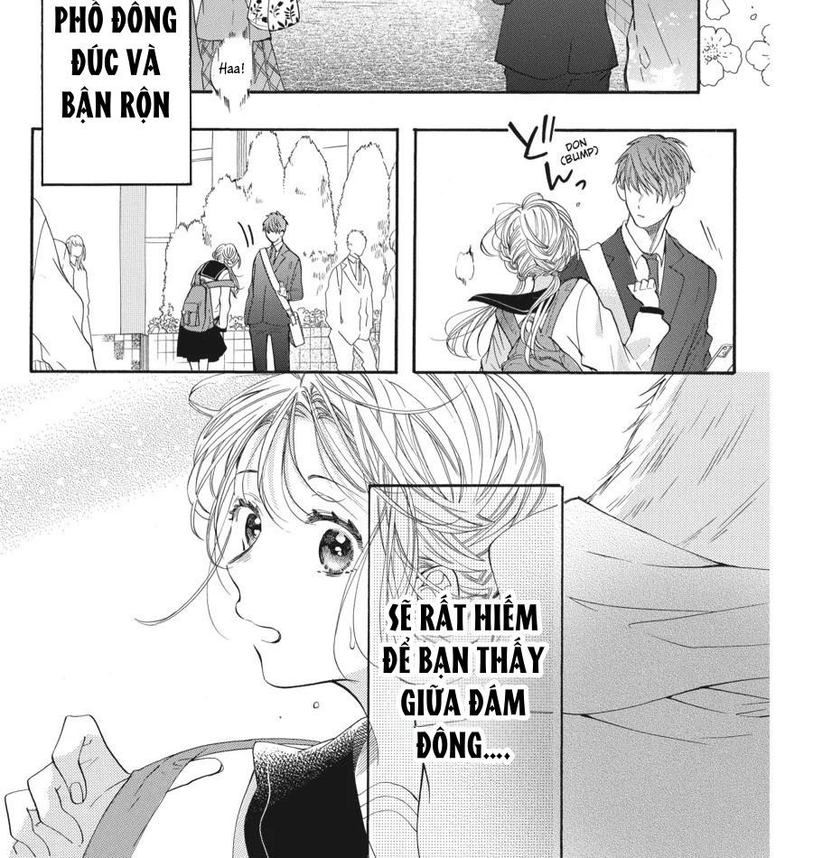 Kimi To Koete Koi Ni Naru Chap 1 - Next Chap 2