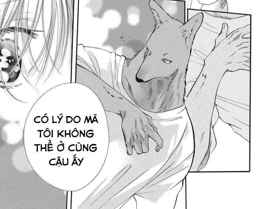 Kimi To Koete Koi Ni Naru Chap 3 - Next Chap 4