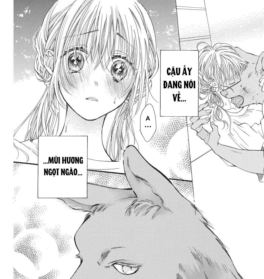 Kimi To Koete Koi Ni Naru Chap 3 - Next Chap 4