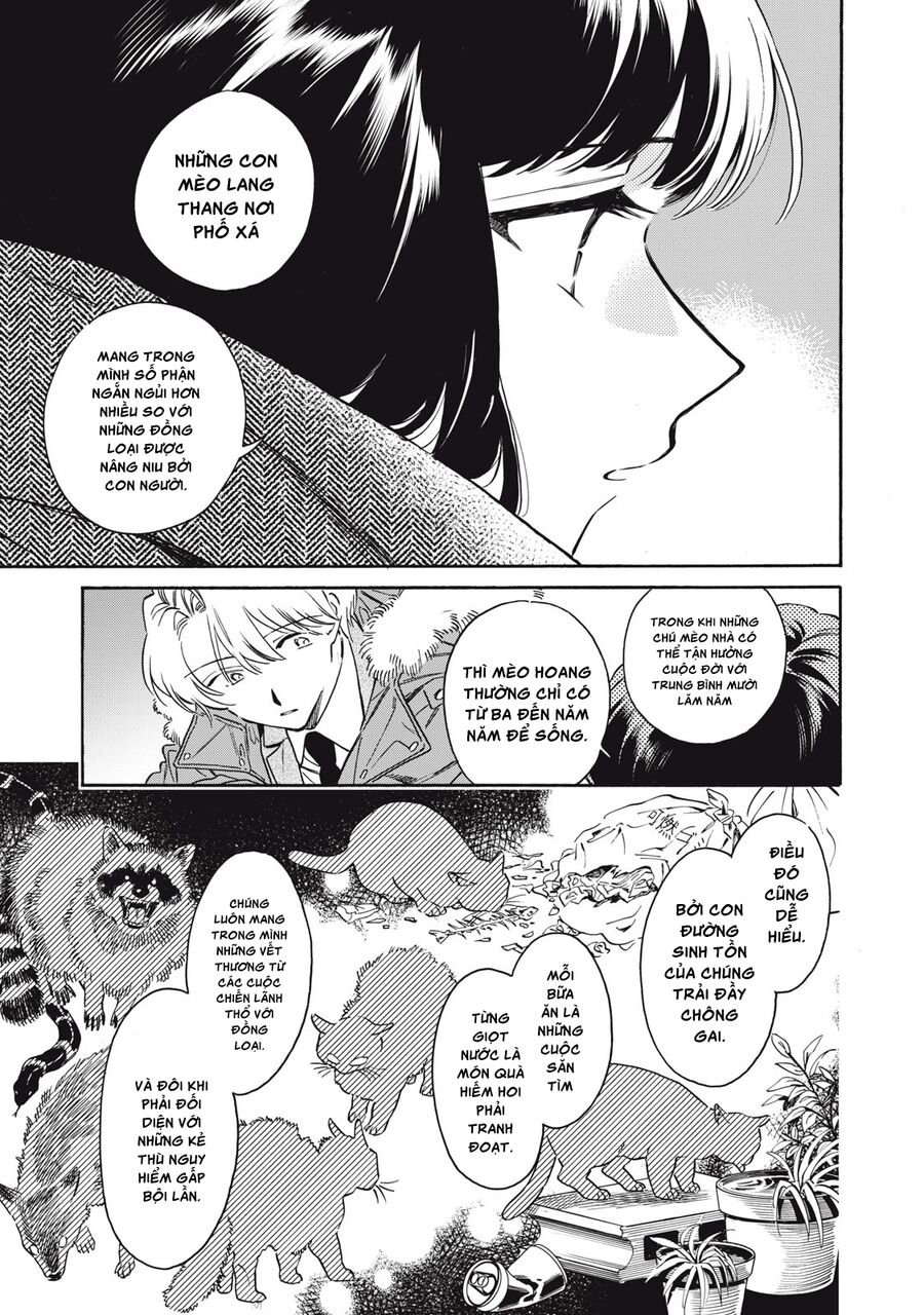 Kurone - Nàng Mèo Chẳng Thể Meow Chap 3 - Next Chap 4