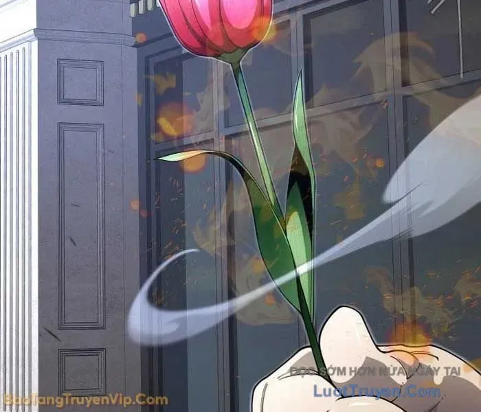 Kỷ Nguyên Siêu Anh Hùng Chap 209 - Next Chap 210