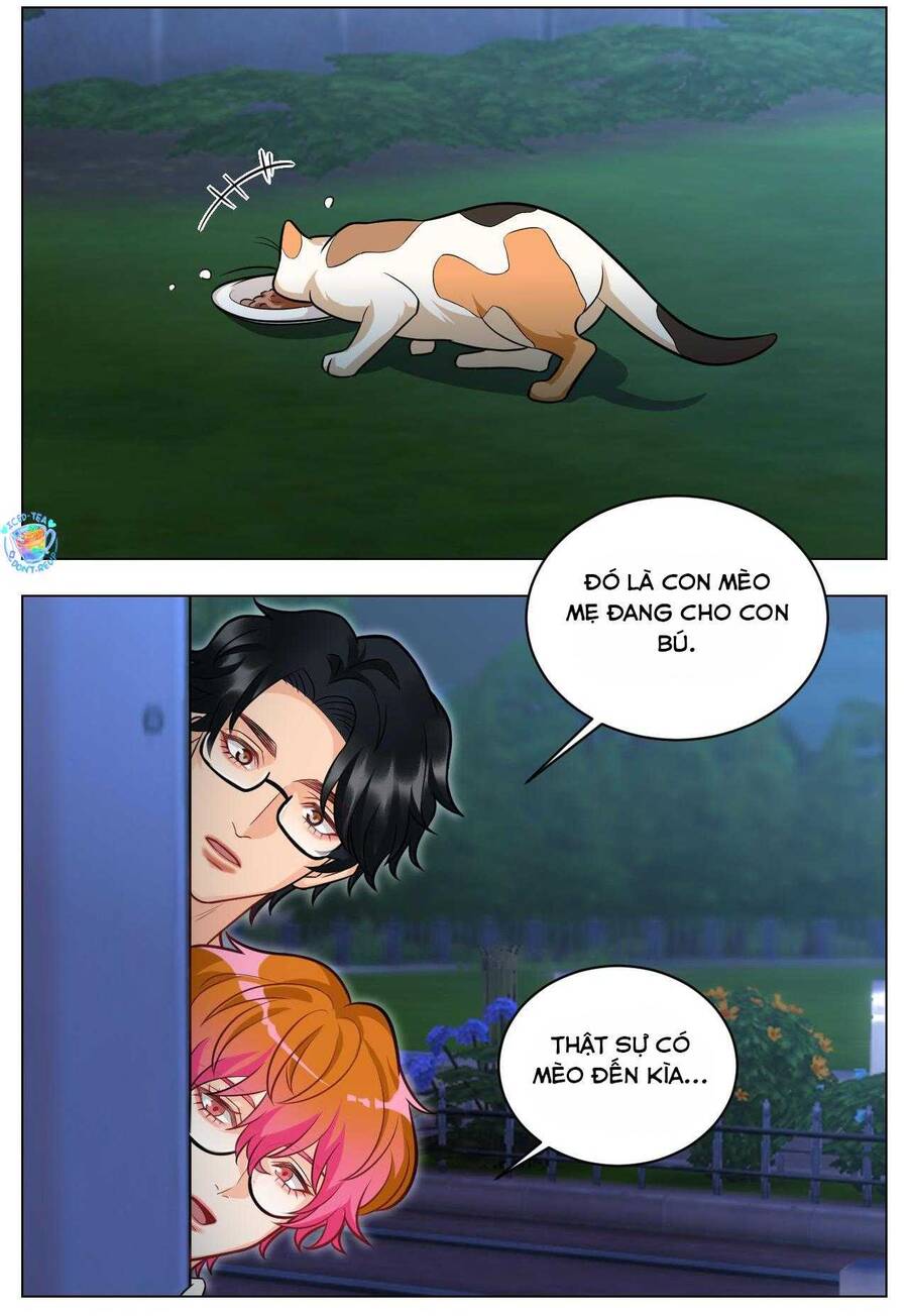 Ký Túc Xá Nam Phòng 303 Chap 237 - Next Chap 238