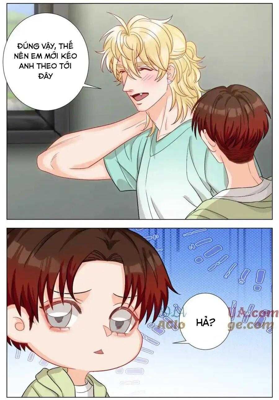 Ký Túc Xá Nam Phòng 303 Chap 246 - Next Chap 247