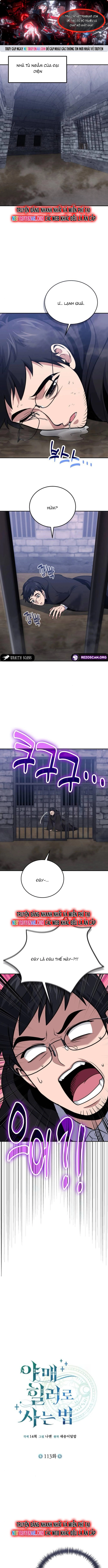 Làm Sao Sống Như Một Trị Liệu Sư Ngầm? Chap 113 - Next Chap 114