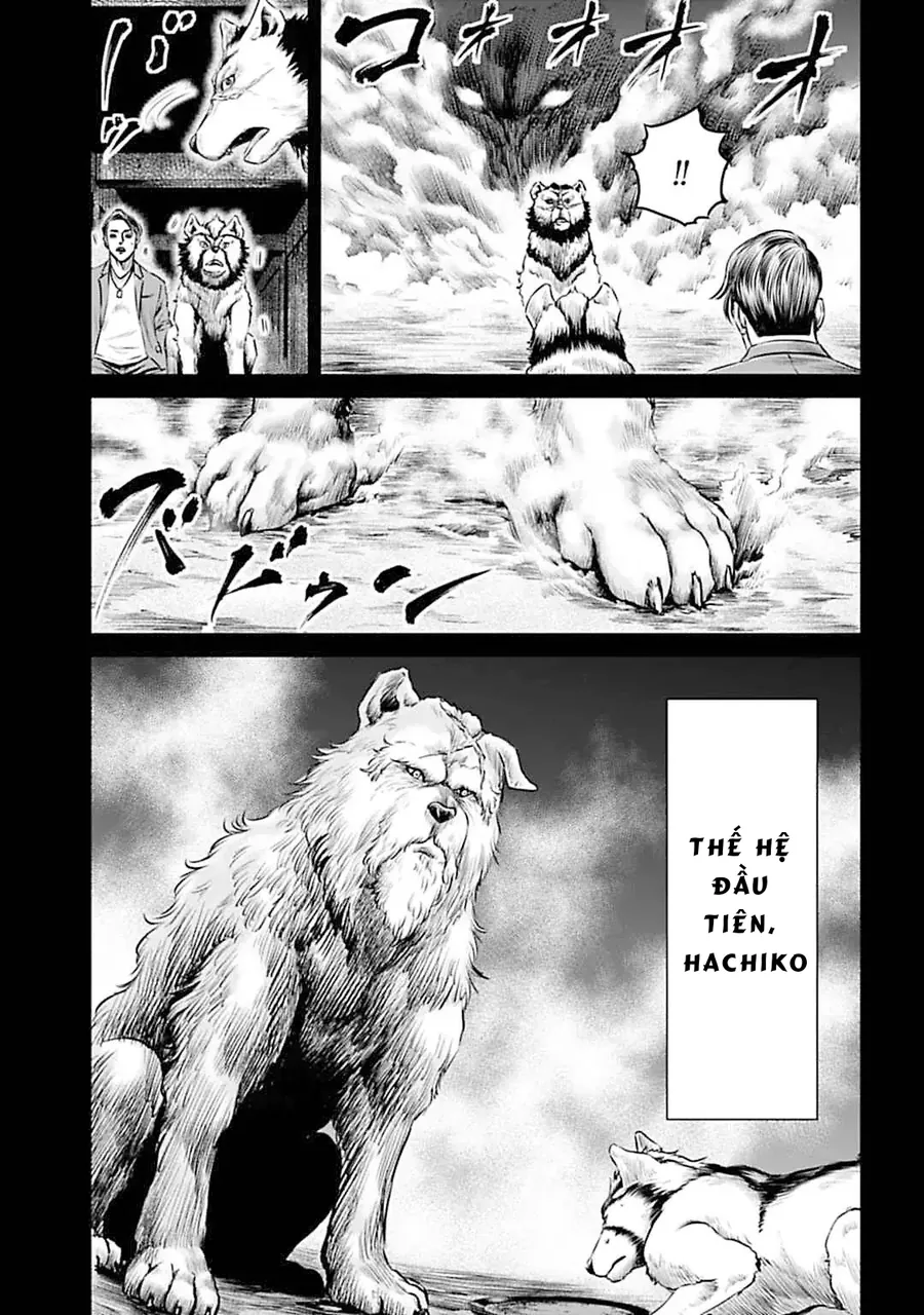 Loạn Đấu Tokyo Chap 55 - Next Chap 56