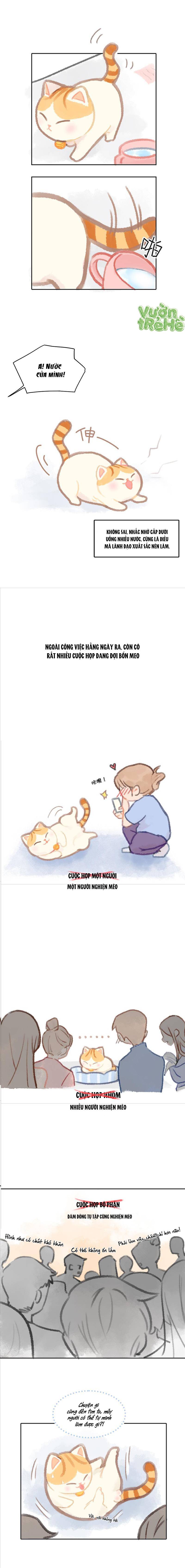 Lục Lạc Mèo Chap 2 - Next Chap 3