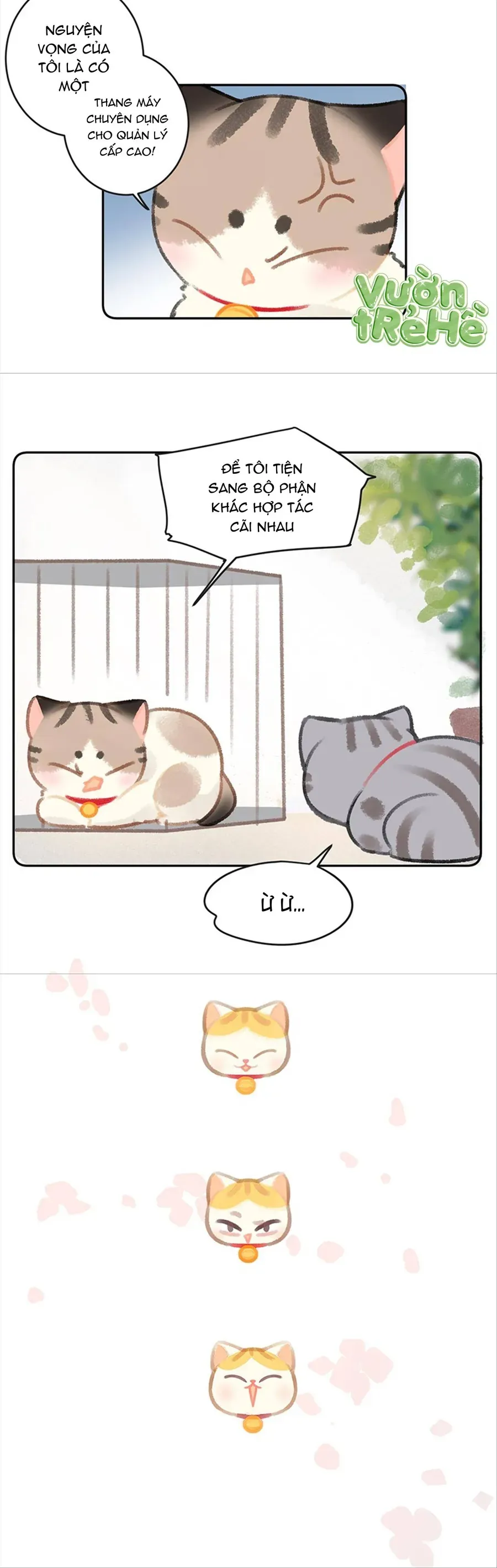 Lục Lạc Mèo Chap 26 - Next Chap 27