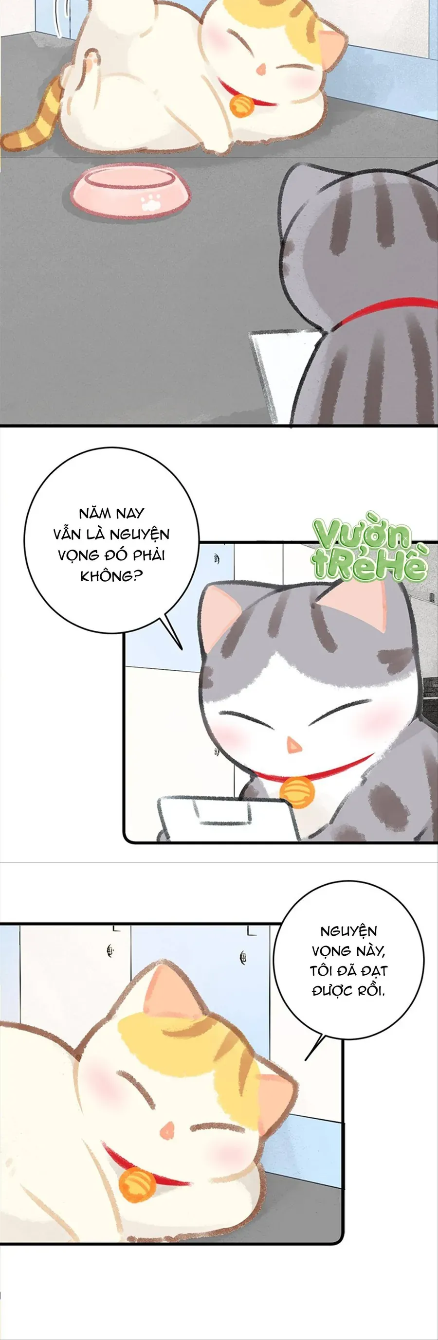 Lục Lạc Mèo Chap 26 - Next Chap 27