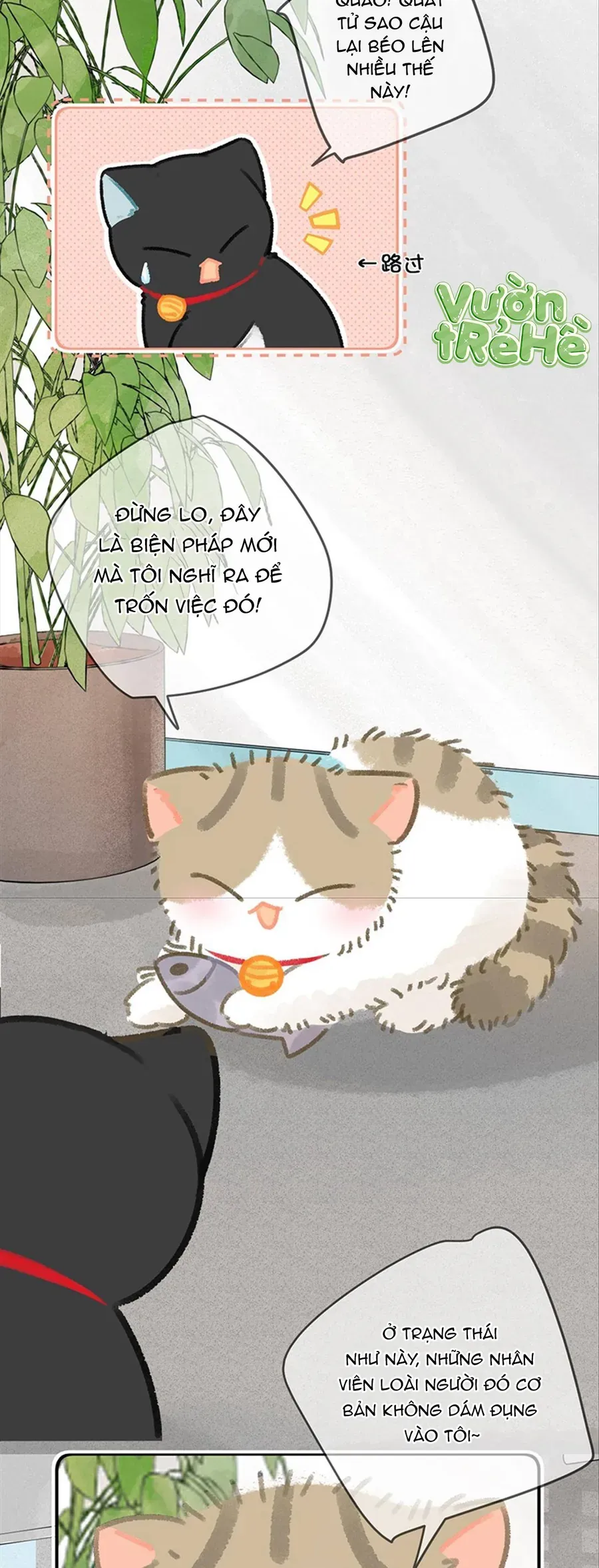 Lục Lạc Mèo Chap 27 - Next Chap 28