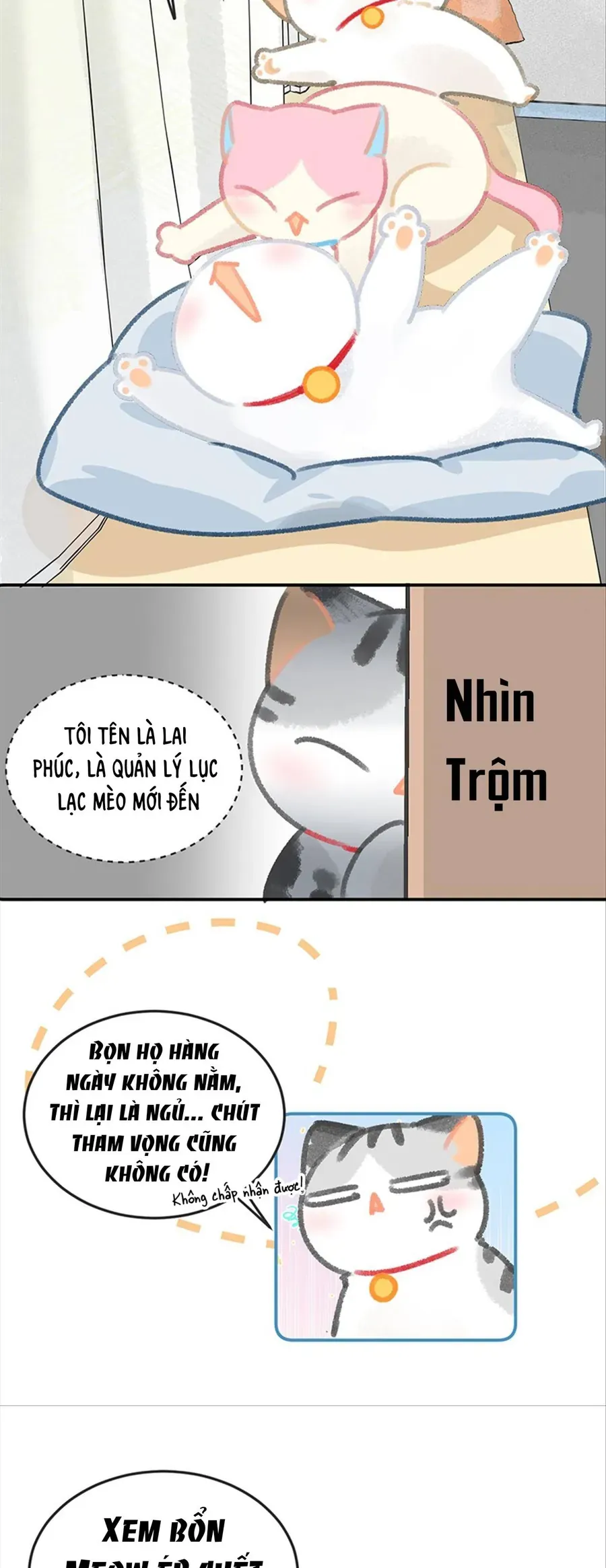 Lục Lạc Mèo Chap 29 - Next Chap 30