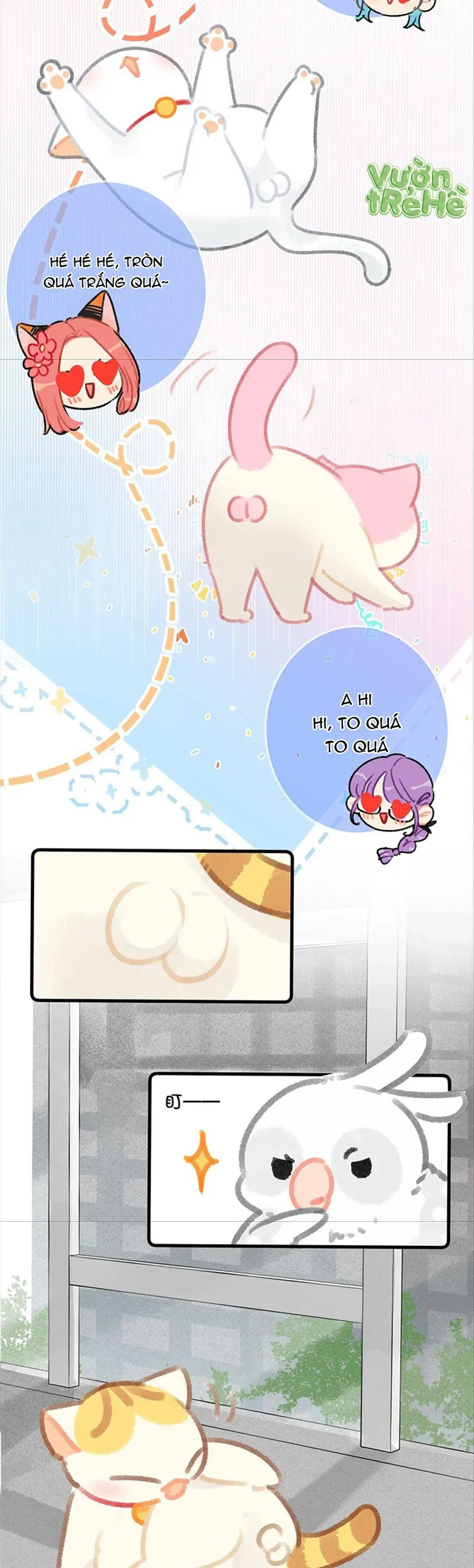 Lục Lạc Mèo Chap 30 - Next Chap 31