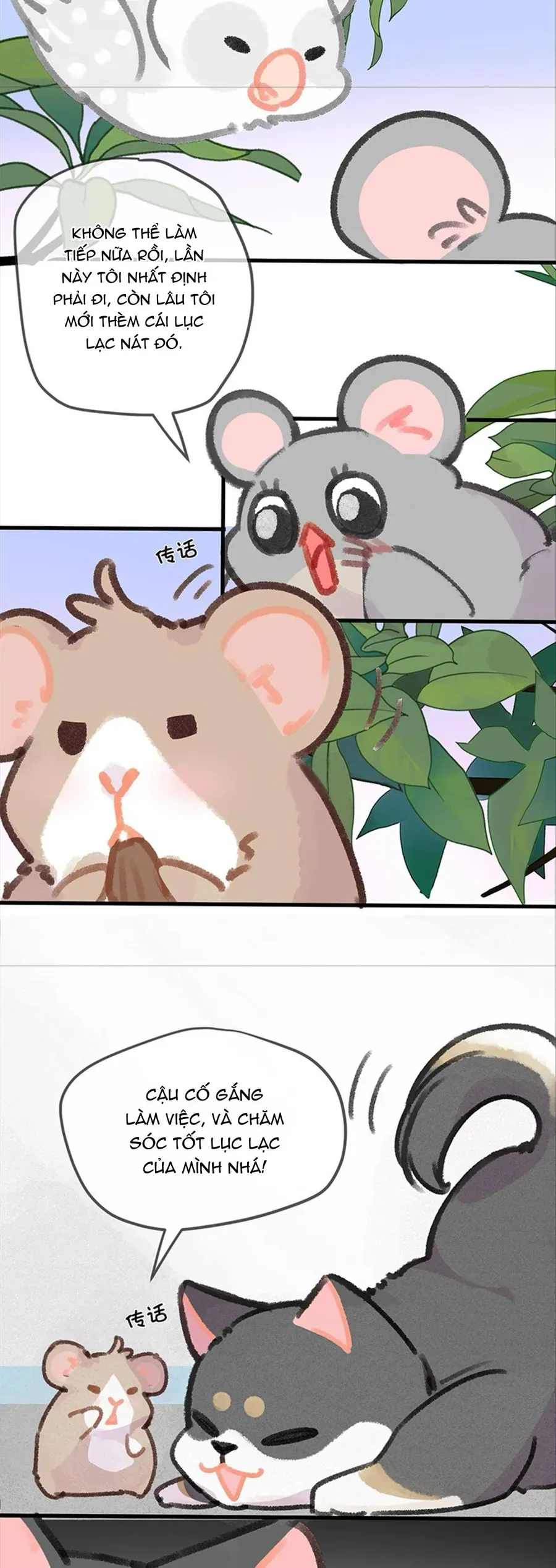 Lục Lạc Mèo Chap 30 - Next Chap 31