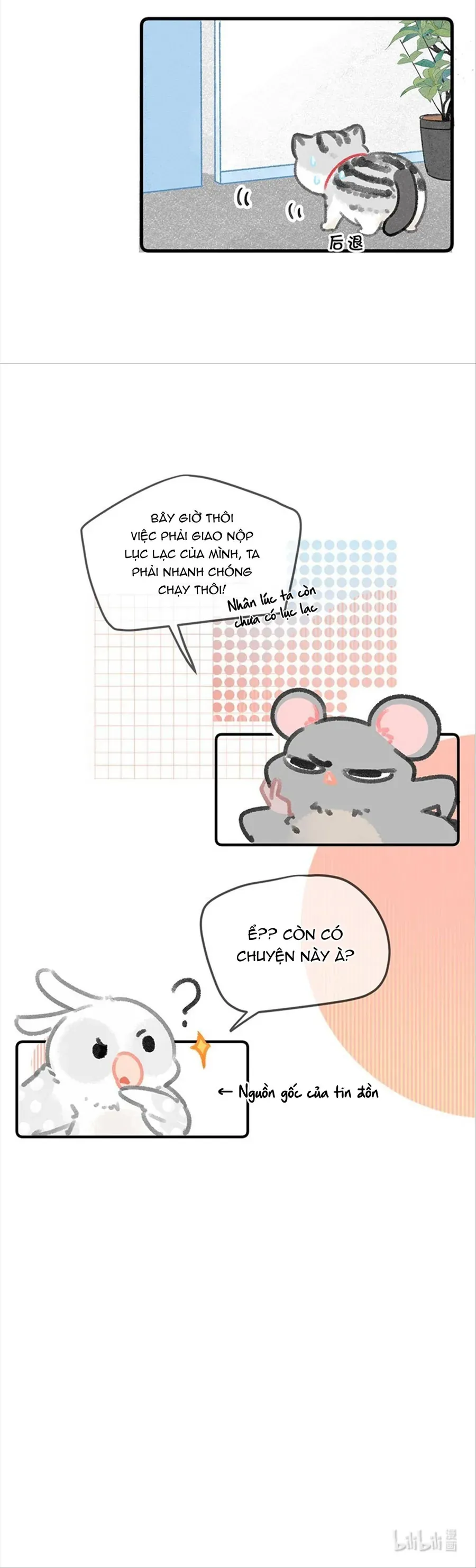 Lục Lạc Mèo Chap 30 - Next Chap 31