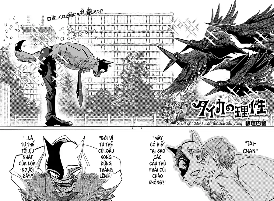 Lý Trí Của Taika Chap 40 - Next Chap 41