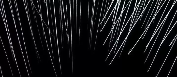 Mạt Nhật Thiên Hạ: Ta, Virus Quân Vương Chap 88 - Next Chap 89